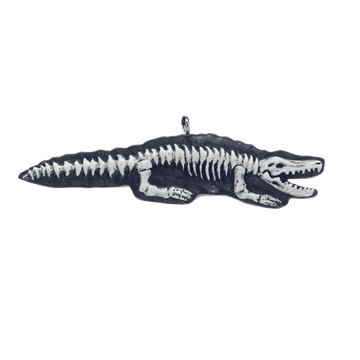 Alligator Bones Flatback