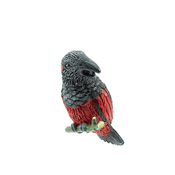 Dracula Parrot