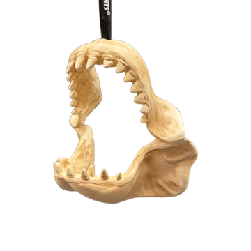 Misfit Shark Bite