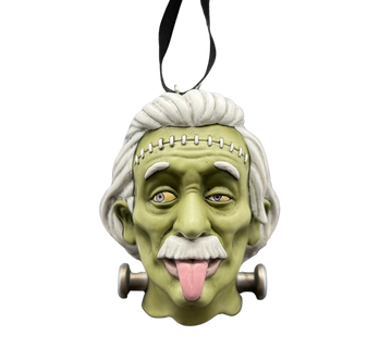 Misfit Frank Einstein