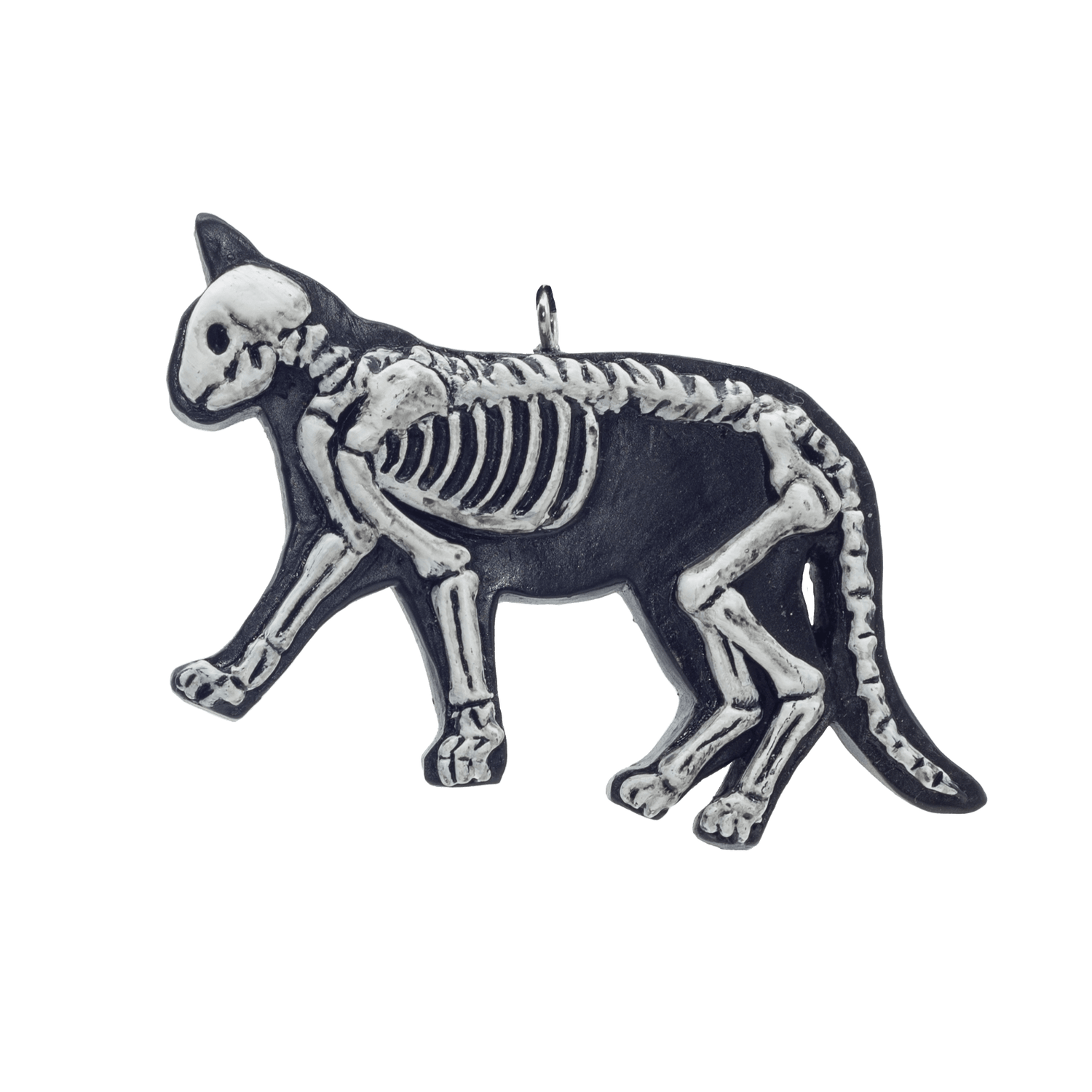 black-cats