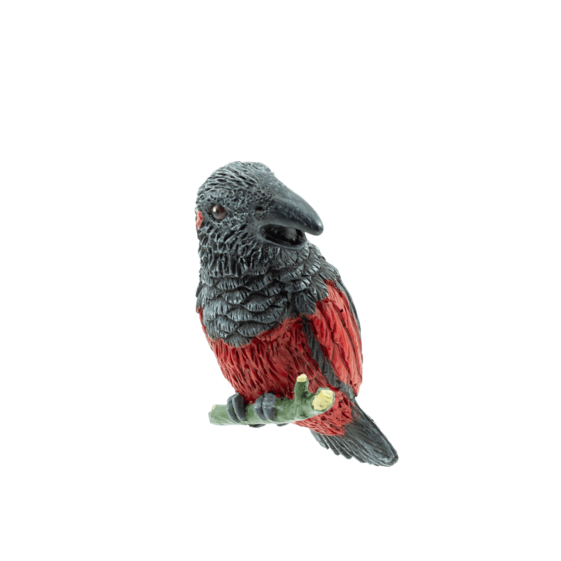 Dracula parrot for online sale