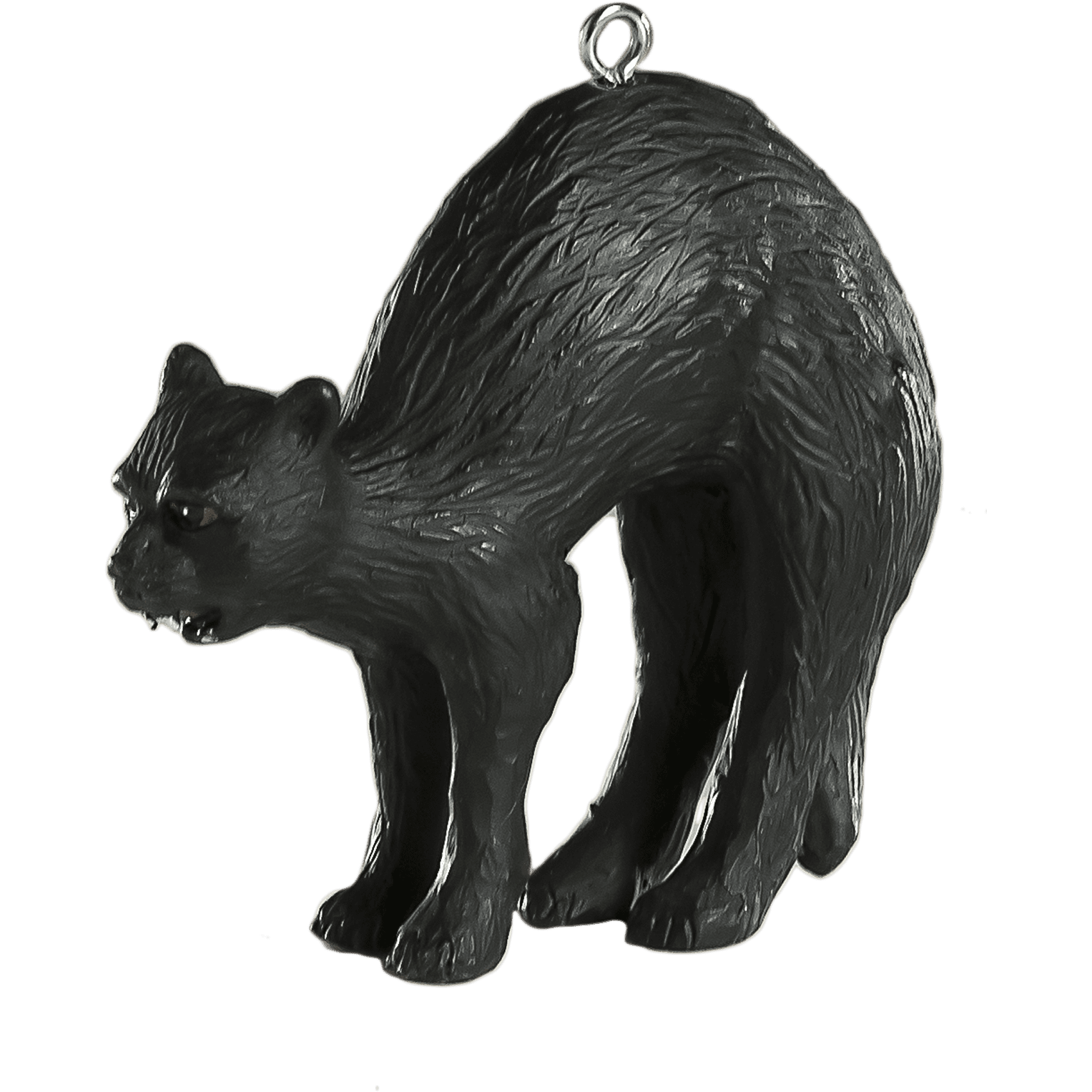 Black Cat