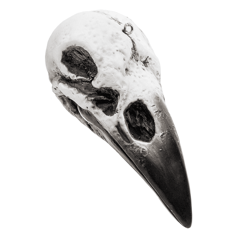 Raven Skull