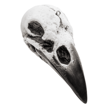 Misfit Raven Skull
