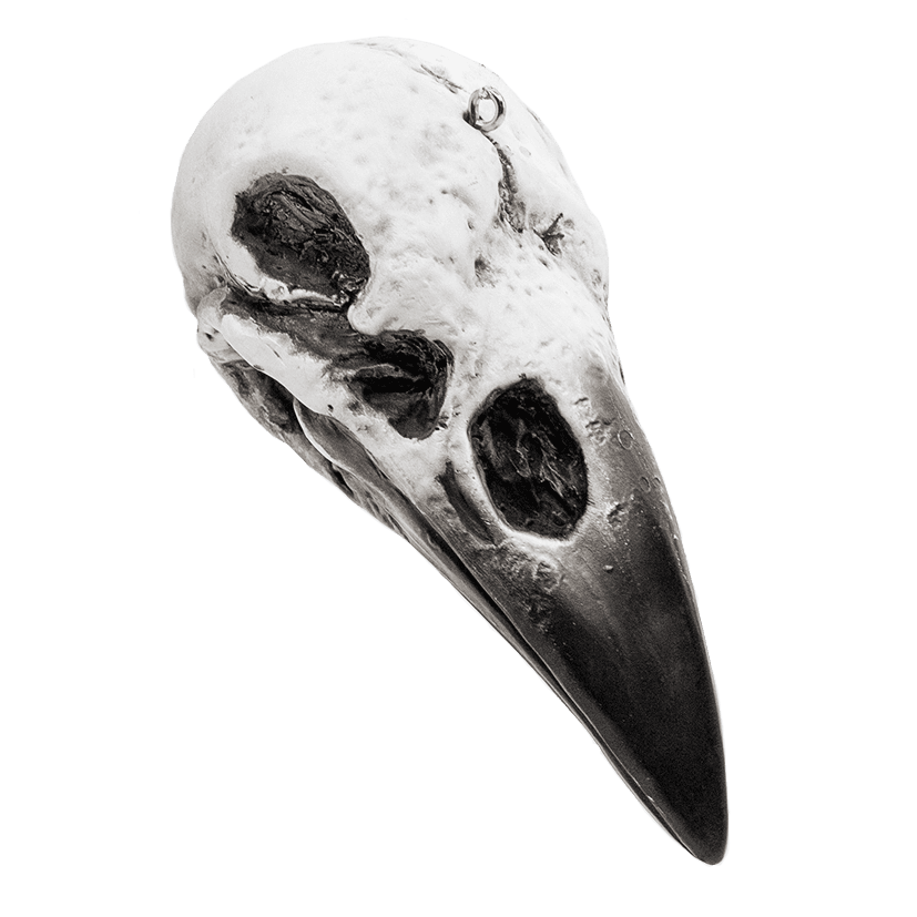 Misfit Raven Skull